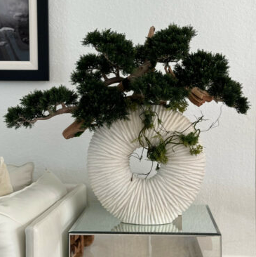 Large Eternity Vase with Trailing Bonsai Tree and Driftwood