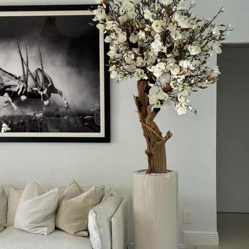 Glossy Beige St. Tropez Planter with Custom Made Magnolia Tree