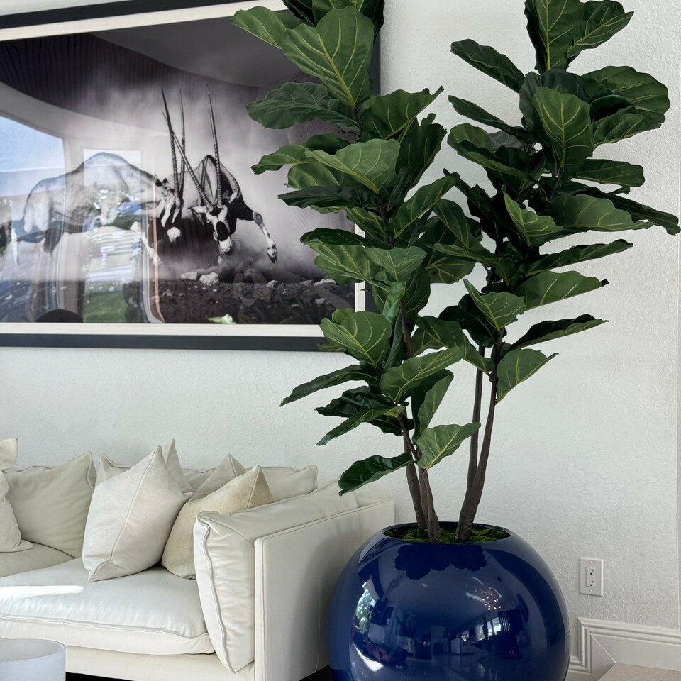 30″ Blue Globe Planter with Fiddle Tree