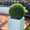 Large Block Fiberglass Planter with 20″ Topiary
(1 in Stock)
