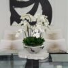 Avenue Bowl with White Phalaenopsis Orchids