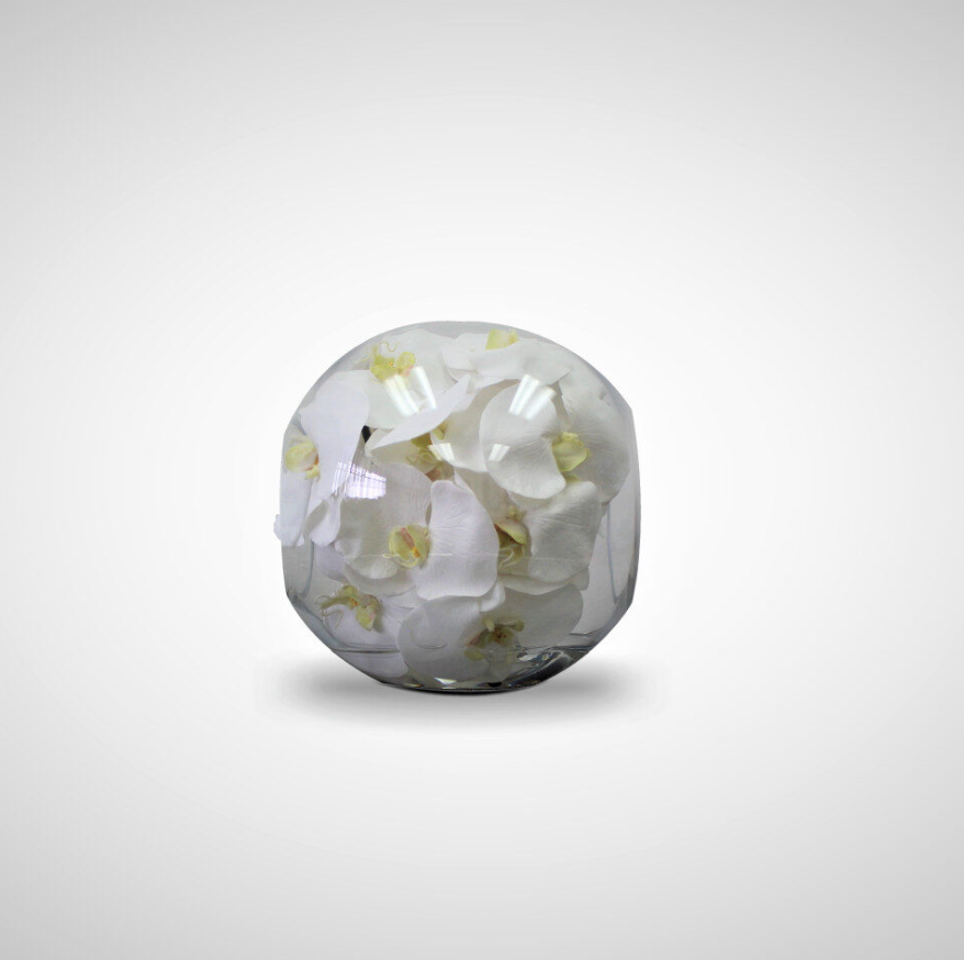 Crosswinds Glass Vase with White Orchids