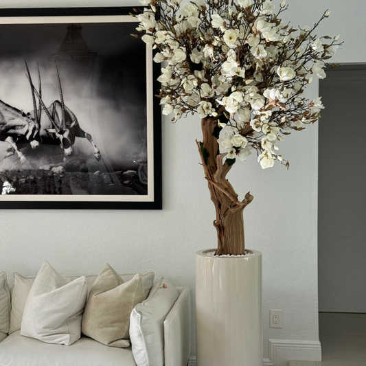 Glossy Beige St. Tropez Planter with Custom Made Magnolia Tree