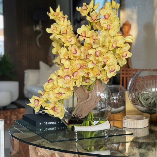 Yellow Cymbidiums in Lunar Planter