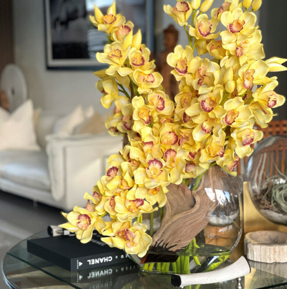 Yellow Cymbidiums in Lunar Planter