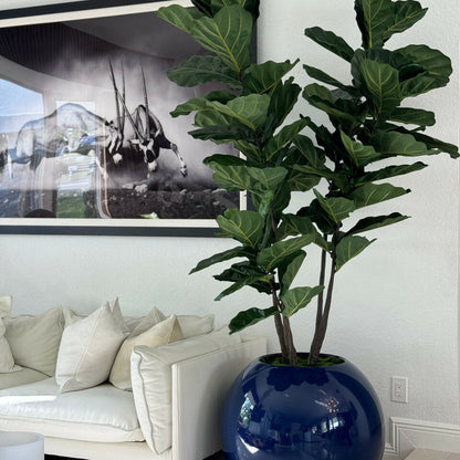 30″ Blue  Globe Planter with Fiddle Tree