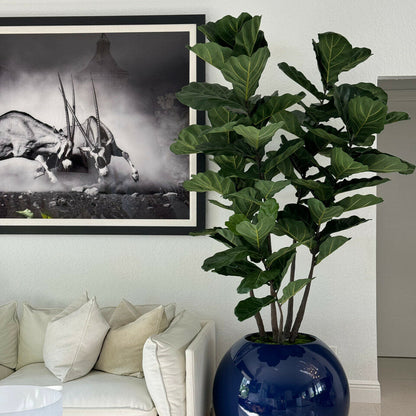 30″ Blue  Globe Planter with Fiddle Tree