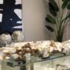 36″ Casa Moderna Glass Plate Planter with white Phalaenopsis orchids