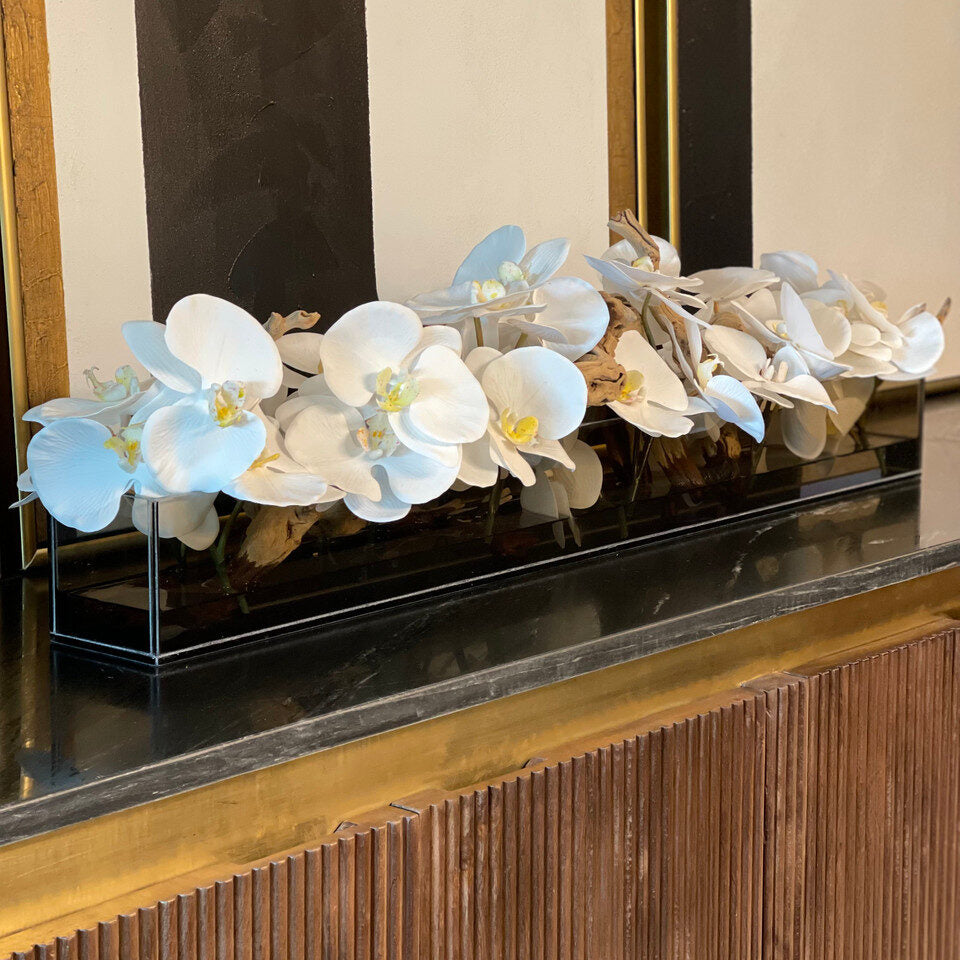 48″ Casa Moderna Black Tinted Glass Plate Planter with white Phalaenopsis orchids
