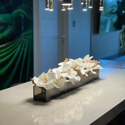 48″ Casa Moderna Black Tinted Glass Plate Planter with white Phalaenopsis orchids