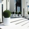 20″ Topiary with Max Fiberglass Vase